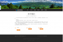 河北仕藍電子商務(wù)有限公司網(wǎng)站建設案例